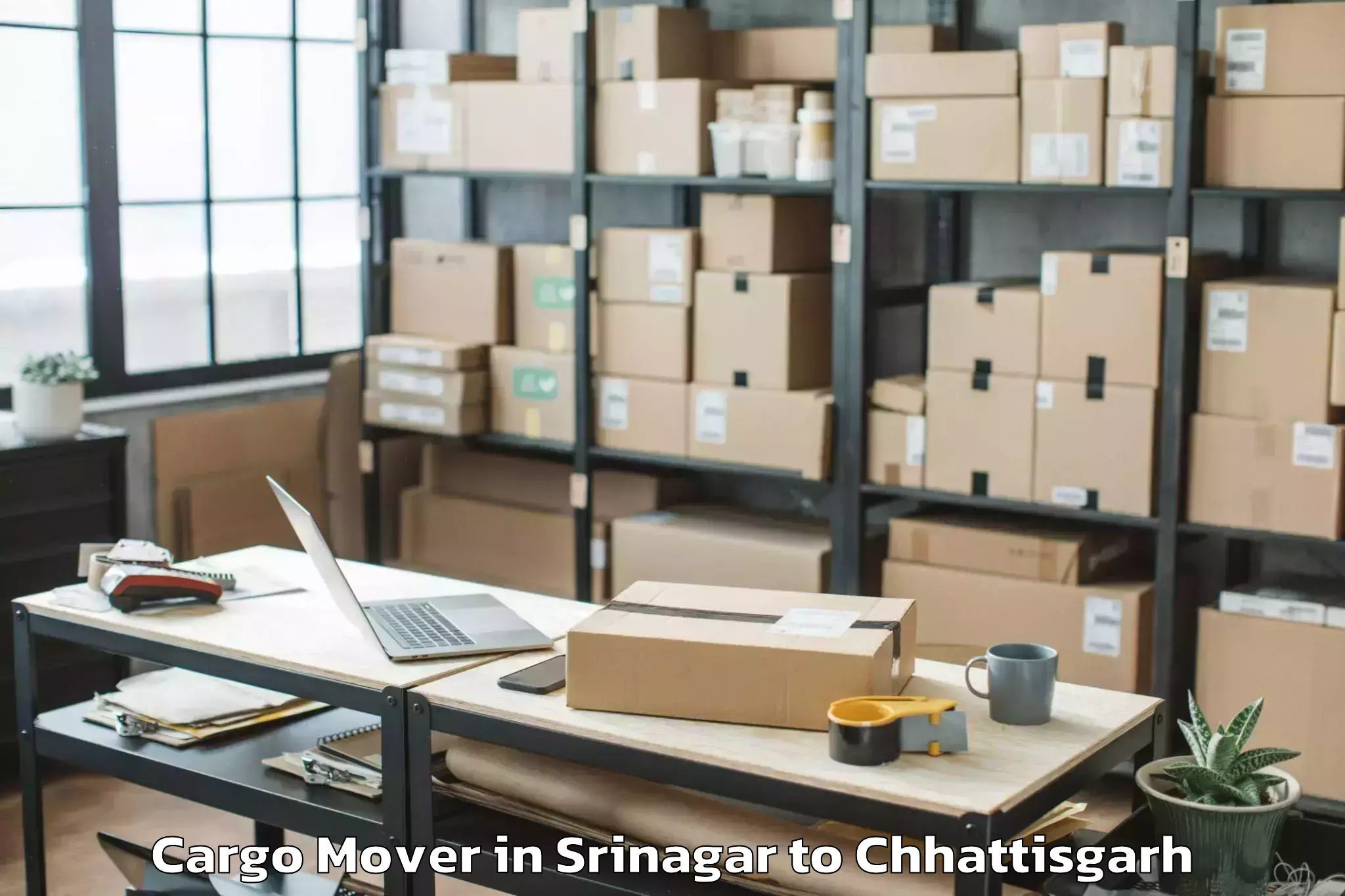 Professional Srinagar to Simga Cargo Mover